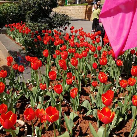 中国-玉溪米线文化节！