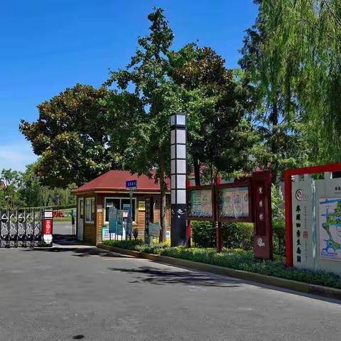 2020 夏攝 （二）上海奉浦四季生态园掠影