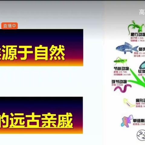 研学培训