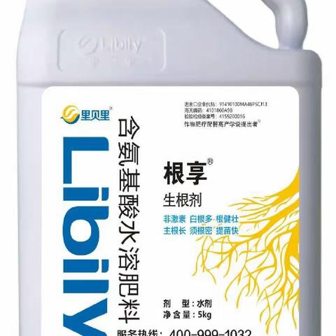 西瓜施肥，如何增产增收，首选里贝里宴沃