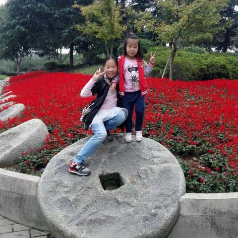 森林公园里的两朵花花