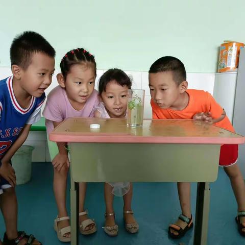 西里双幼儿园：玩转科学   快乐探索