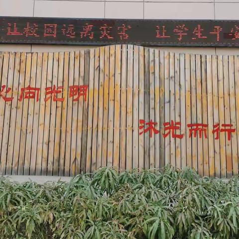 防灾减灾，“救”在身边——光明路小学开展安全系列主题教育活动