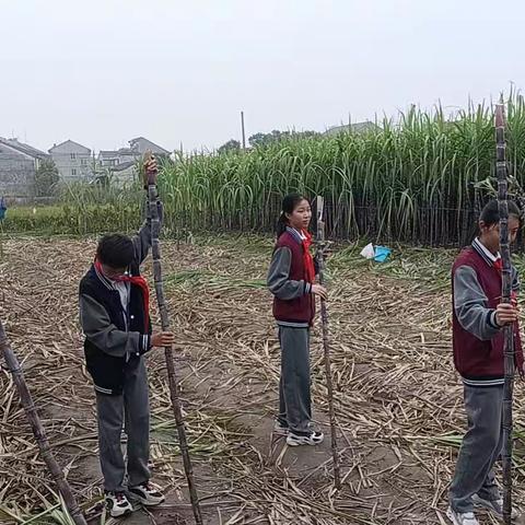 满身是泥，才能满眼是光——秋季研学之旅