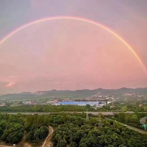 风雨同舟，抗疫同行——麒麟科创园学校关心关爱学生活动