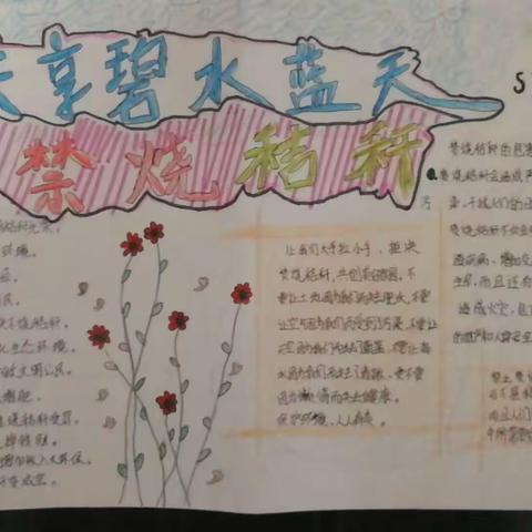 顿坊店乡前稻香完全小学开展“保护环境，美化家园”环保宣传活动