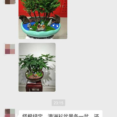 缤纷花场精品盆景景观定制