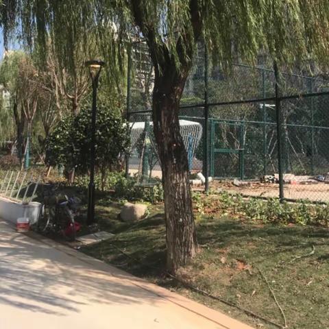 公园改造提建议，助力城市更美丽