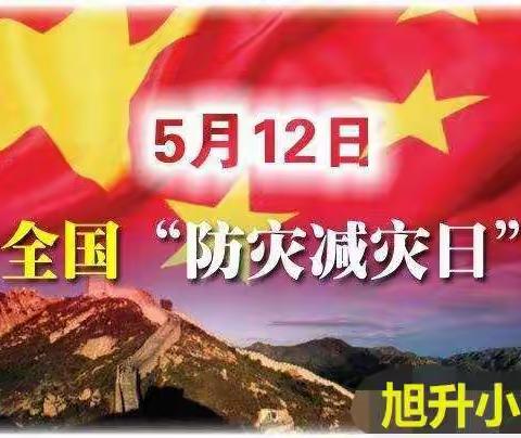 临邑县宿安乡旭升小学积极开展512全国“防灾减灾，从我做起”系列主题活动