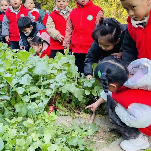 大雪美食日记——制作萝卜丝饼