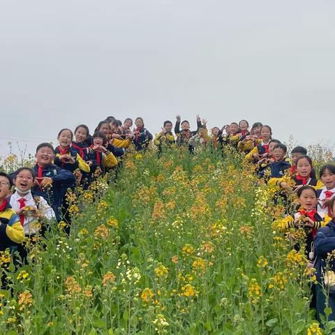 “油”为有趣，“菜”你喜欢——金东区实验小学四8班油菜花种植活动