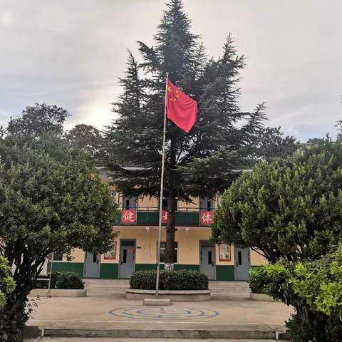 美化校园，我们在行动——南郊小学校园美化纪实
