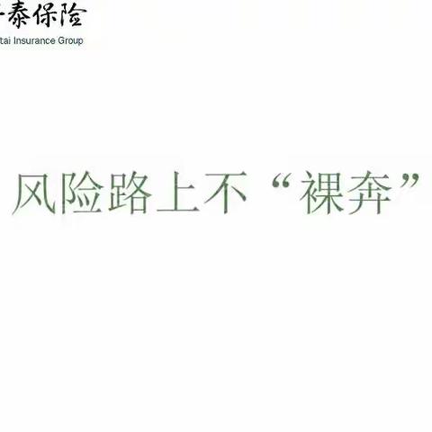 林飞平的美篇