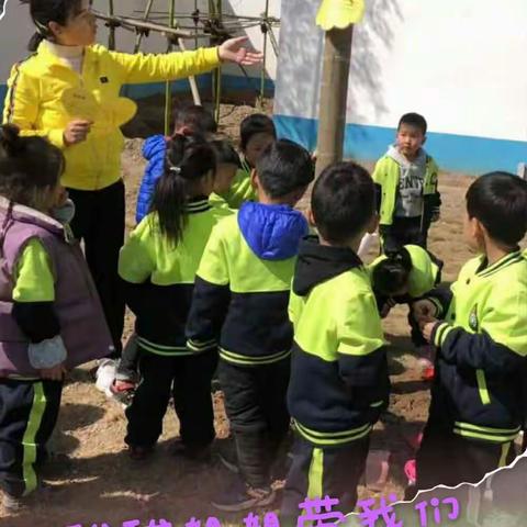 拥抱春天，播种绿色——玉泉四幼植树节主题活动
