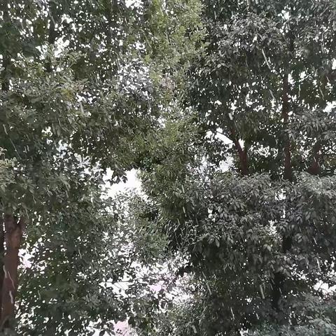 2021年之记录（一）