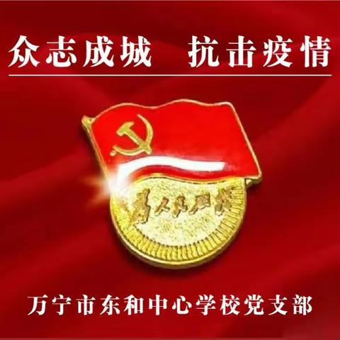 我是党员我先上 卡口值守显担当一一万宁市东和中心学校党员教师抗击疫情纪实（三）