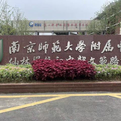 勤于学习，提升自我  促进教改，力行双减