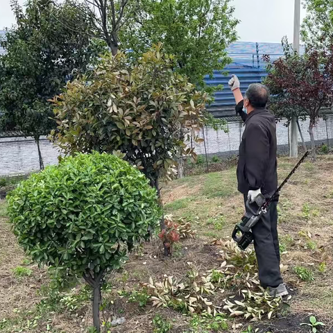 山王庄镇：加强管护养护  巩固绿化成果