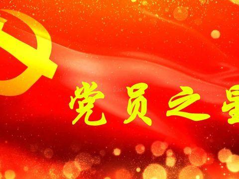 东西湖区税务局2020年第二季度“党员之星”风采展示