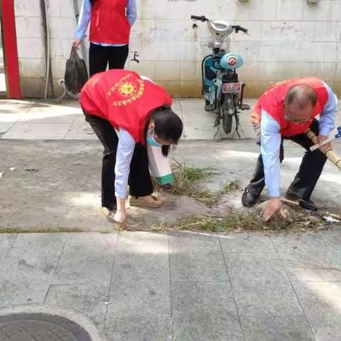 治理社区环境卫生 践行志愿服务精神