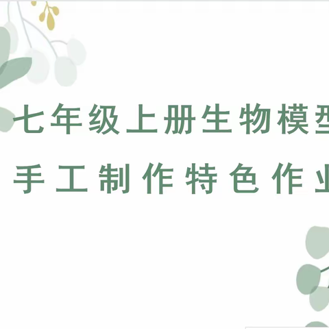 奇思妙想，指尖生物——七年级生物模型手工制作特色作业