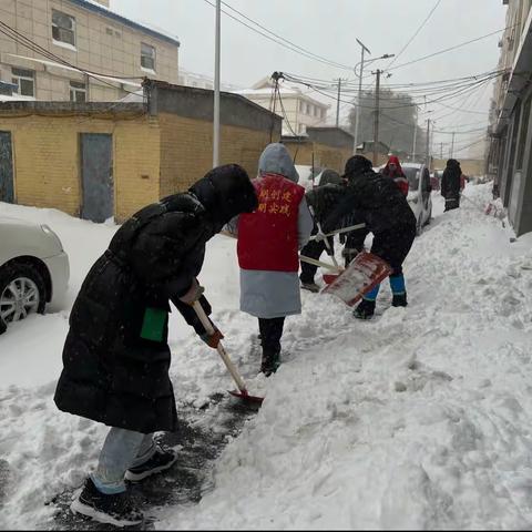 永清街道水岸春城社区2023.11.6扫雪志愿服务活动