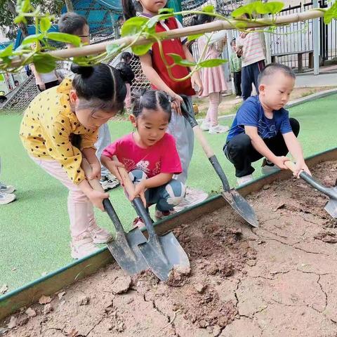 秋分至，秋意浓—市直机关幼儿园文达园秋分节气主题活动