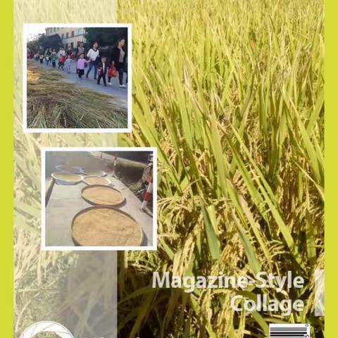 永春蓬壶第二中心园“文明出行”研学活动