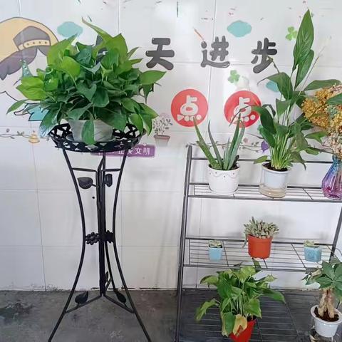 “最美教室   墙会说话”——石人乡中心小学开展教室布置评比活动