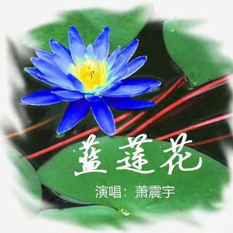 张掖四中初一10班，“五个一”活动之“音舞食篇”