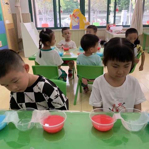 【莱茵园小二班】与“水”的探秘之旅主题活动
