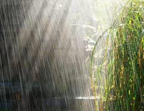 端午雨