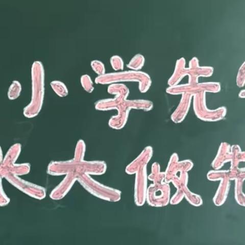 从小学先锋 长大做先锋—北城中学少先队优质活动课初赛