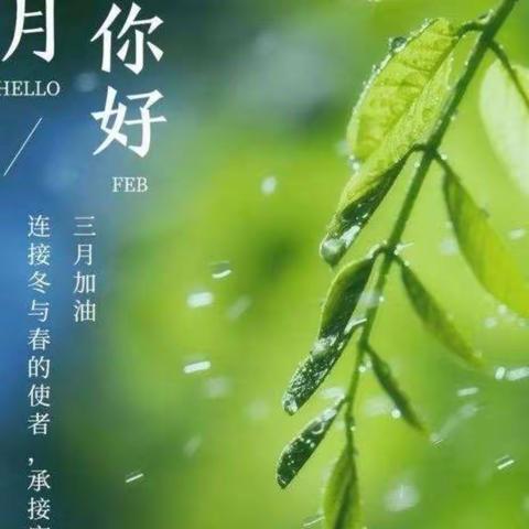 停课不停学 隔空不隔爱----开安镇中心园中一班线上保教活动阶段总结（第2、3周）