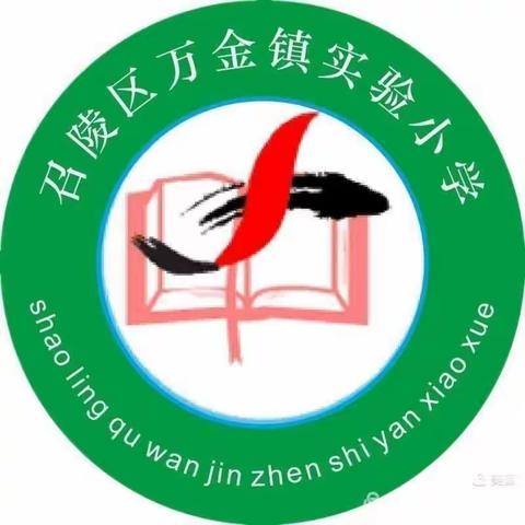 法治教育进校园，法治意识润心田——万金镇实验小学法治教育报告会