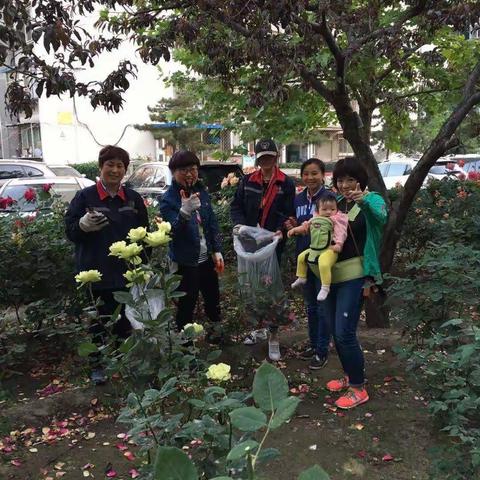 美丽社区，我们用双手创造