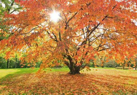 留住秋天的脚步🍂