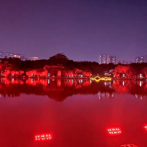 佛山千灯湖夜景