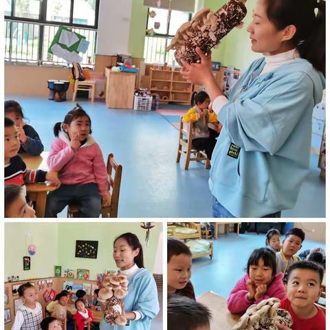 蘑菇怎么吃？——庐山路幼儿园中一班