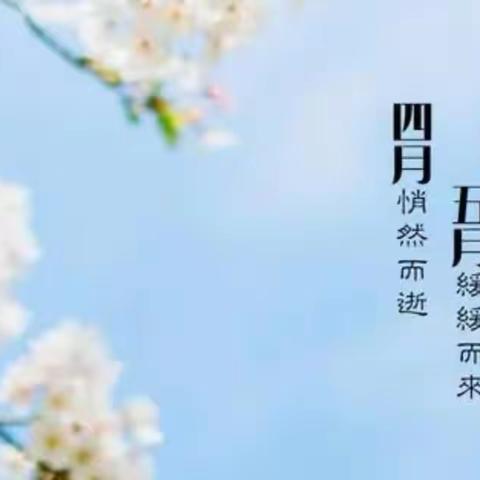 田林县财富商城幼儿园中班4月份幼儿学习与生活