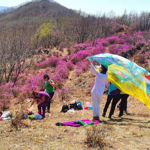 金达莱盛开的地方