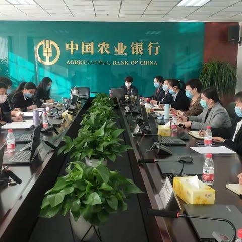 乌海分行召开2019年四季度运营风险分析暨“三化三铁”创建工作会议