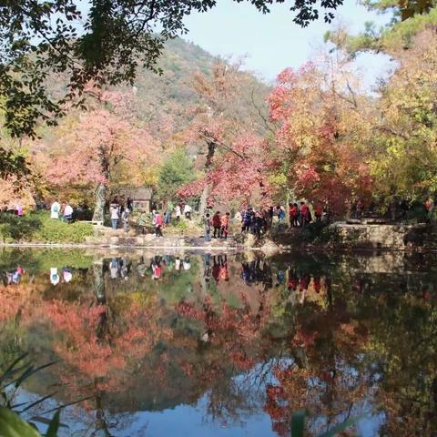 2017天平山，金鸡湖畔同学聚会