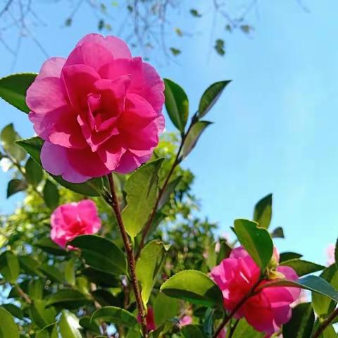 漫漫研修路，切切求索心          ——＂国培计划＂大理州乡村教师培训项目之祥云记