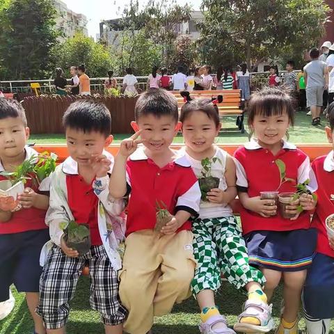 睢阳区实验学校附属幼儿园蔬菜种植活动