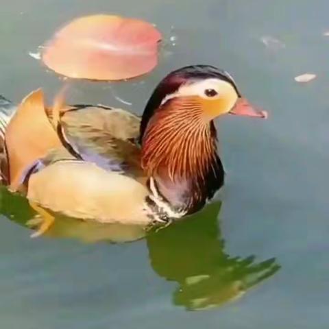 楼板钢筋是否满扎！