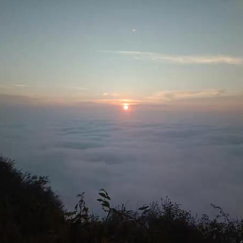 《秋天的怀念》同课异构的过程及反思