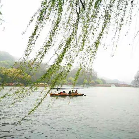 斜风细雨不须归