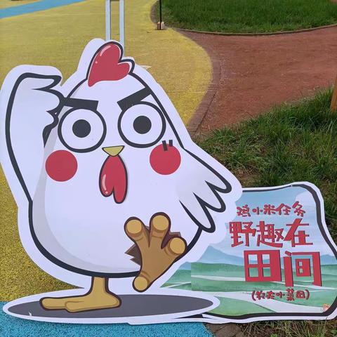 品格观山悦幼儿园大班组大自然研学之行