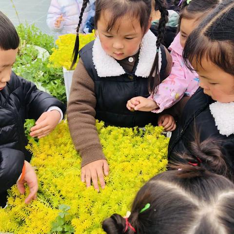 我们五彩缤纷的幼儿园生活——日常照片分享